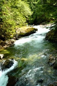 Stevens Pass Greenway Waterfall