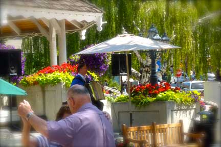 Summertime Flowers enhance the romance of the Gazebo